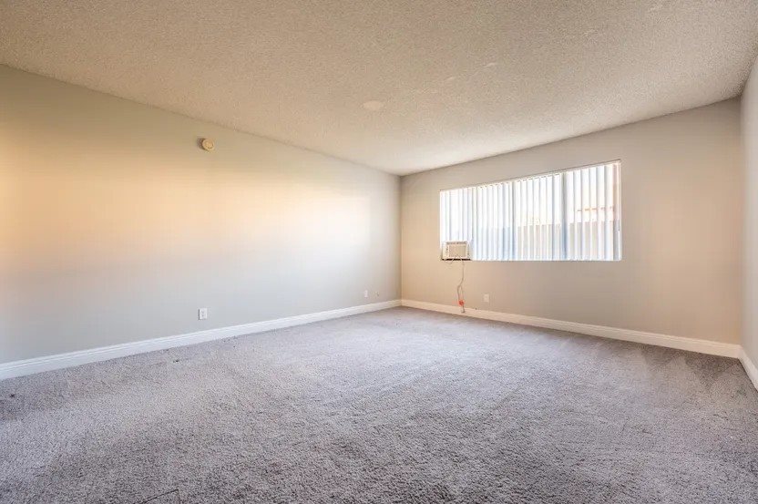 Gallery Photo 11